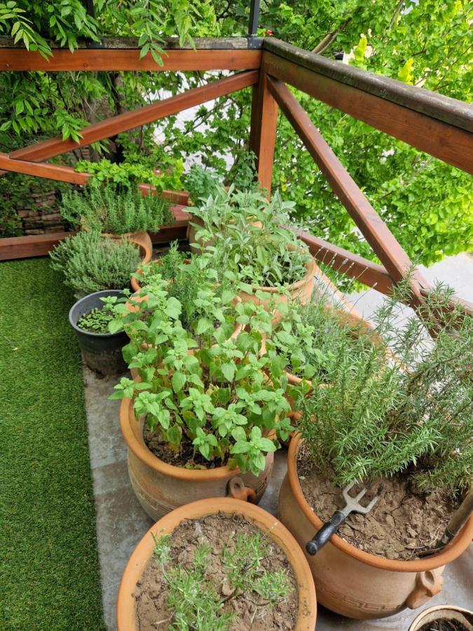 Balassi Apartment -With Green Terrace&Bike Sturovo Exterior photo